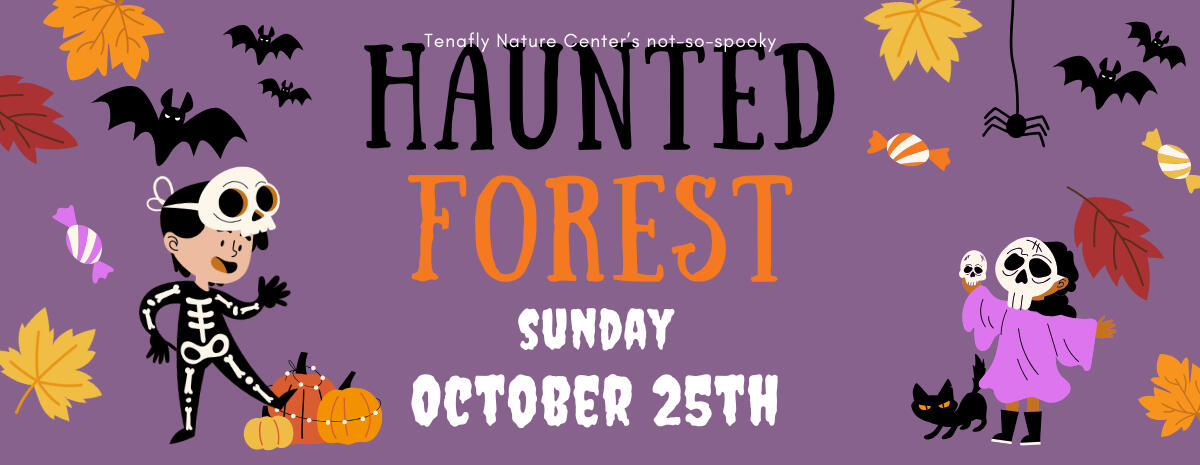 Haunted Forest